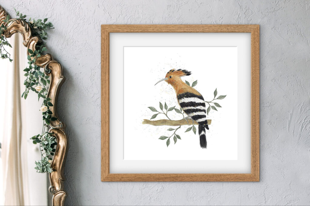 Hoopoe Art Print